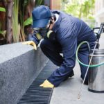 Hiring A Pest Control Services