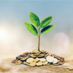 All you need to know about tax saving FD