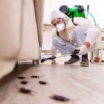 best pest control companies